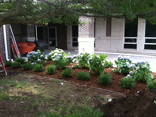 Services | Tobin Landscape